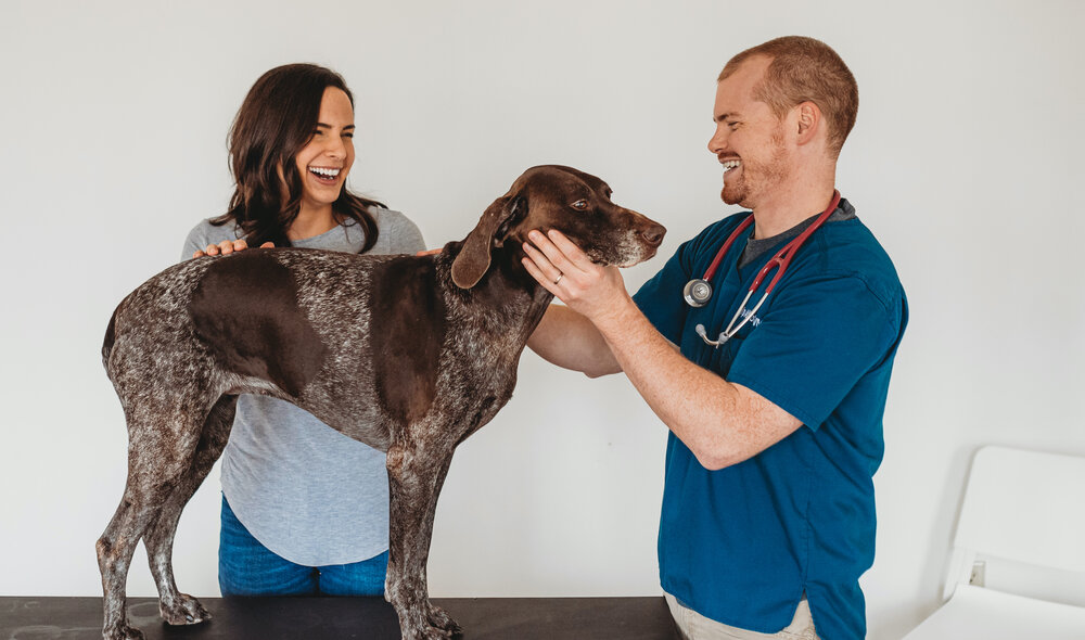 Home | Veterinarian in Statesville, NC | AngelCare Veterinary Hospital  AngelCare Veterinary Hospital - Veterinarian in Statesville, NC US